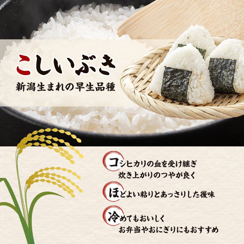R8年産 新潟県産 品種おまかせ  10kg 2か月定期便 新潟県 新潟市産 令和8年産 お米 精米 米 ご飯 送料無料