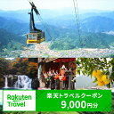 【ふるさと納税】徳島県那賀町の対象施設で使える楽天トラベルクーポン寄付額30,000円