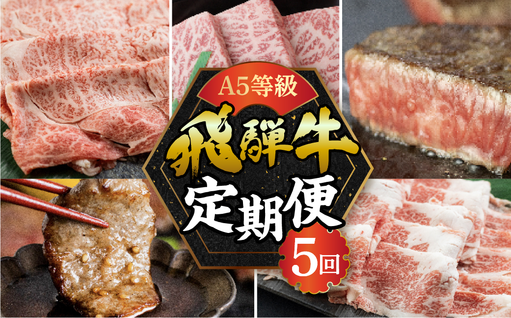 
            【定期便】A5 飛騨牛 5回 定期便 計 2.65kg 5ヶ月 食べ比べ 牛肉 肉 和牛 国産牛 黒毛和牛 焼肉 やきにく ヤキニク すき焼き すきやき しゃぶしゃぶ ステーキ 赤身 霜降り お楽しみ トキノ屋食品 本巣市  定期便 肉 お楽しみ 定期便 牛肉  [mt354]
          