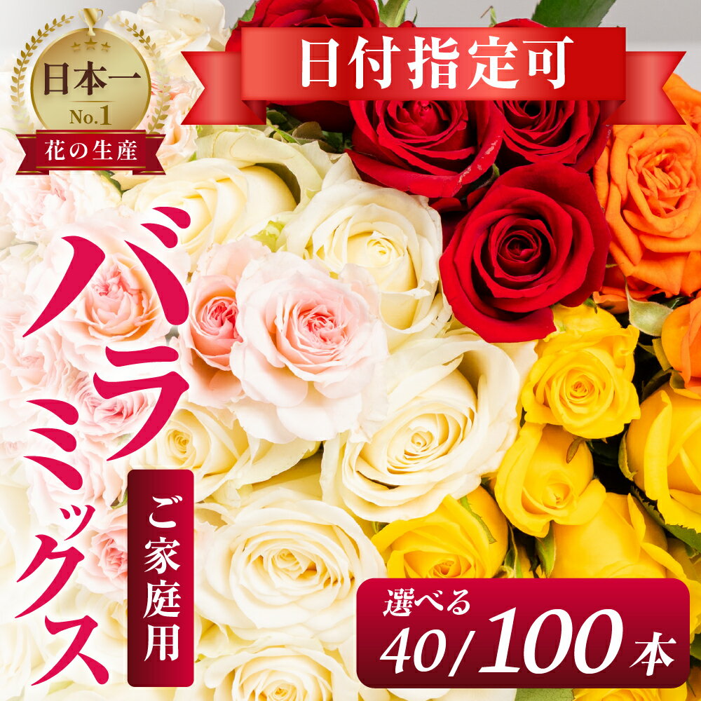 【ふるさと納税】バラ 花束 訳あり ご家庭用 選べる 40本 / 100本 花 お届け チャーミングローズ 薔薇 ローズ 生花 ミックス 誕生日 フラワー 雑貨 インテリア 産地直送 人気 母の日 父の日 訳あり 花 母の日 父の日 贈り物 ギフト プレゼント