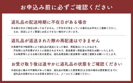 りんご 家庭用 王林3kg [hi-0053-047]