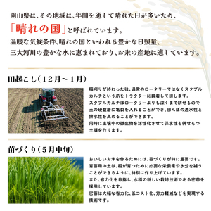 3ヵ月 定期便 令和6年度産 岡山県産 きぬむすめ 玄米 10kg 米 お米 コメ おこめ 3回 岡山