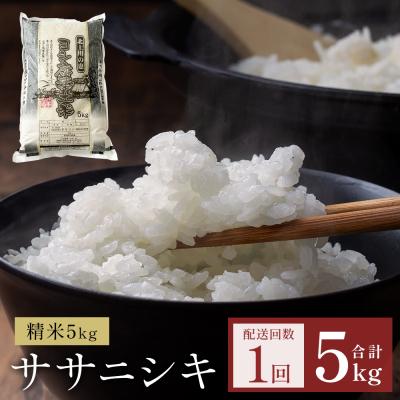 ふるさと納税 石巻市 米 令和7年産 ササニシキ 精米 5kg 単品 こめ コメ お米 ご飯 白米 防災減災