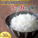 【ふるさと納税】数量限定 初回12月下旬発送 新米 定期便 5kg 6ヶ月 計30kg 令和6年産 京都丹波産キヌヒカリ＜JA京都たわわ朝霧＞※2024年12月からお届け開始≪農協 白米 産地直送 送料無料 簡易包装 コメ 楽天限定 年内発送 先行予約≫