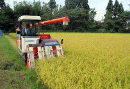 【令和7年産新米】阿賀野市産コシヒカリ 「風神の舞」10kg（5kg×2袋） 白米 精米 1W01031