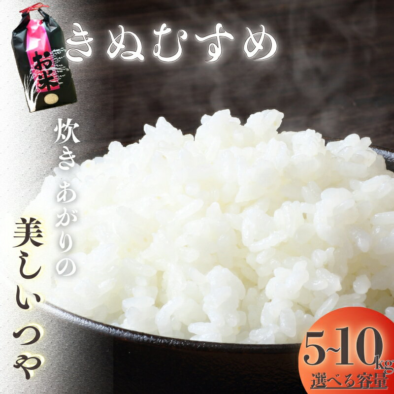 【ふるさと納税】 自然豊かな 高野山 麓の水 土に育てられた きぬむすめ 約5kg / 約10kg ( 約5kg×2袋 ) 2025年収穫 【選べる容量】 【11月上旬〜12月下旬発送予定】