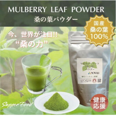 【ふるさと納税】大阪産(もん)桑の葉パウダー(マルベリー リーフ パウダー )30g×3袋【1489160】