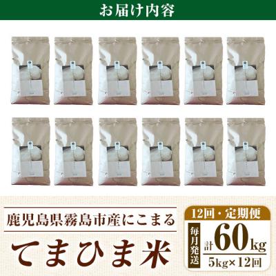 ふるさと納税 霧島市  12回定期《令和7年産》てまひま米(品種:にこまる) (計60kg)【末蜜農園】K-198-G |  | 01