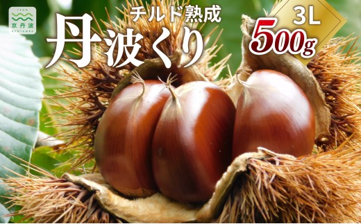 チルド熟成 丹波くり 3L 500g（ 京都 京丹波町産 丹波栗 熟成 生栗 ）※北海道・沖縄は配送不可 [009TNX001L]