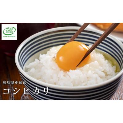 ふるさと納税 須賀川市 【新米受付】令和7年産須賀川市産コシヒカリ 精米15kg JGAP認証農場で栽培したお米です。 |  | 01