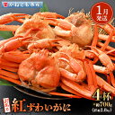 【ふるさと納税】【訳あり】≪浜茹で≫越前産 紅ずわいがに 約700g × 4杯 食べ方しおり付【紅ズワイガニ カニ かに 蟹 姿 ボイル 冷蔵 福井県】【1月発送分】希望日指定不可 [e14-x002_01]