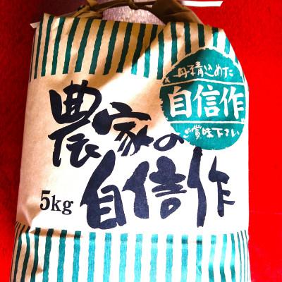 ふるさと納税 由良町 由良町産お米「虹のきらめき」5kg(精米)
