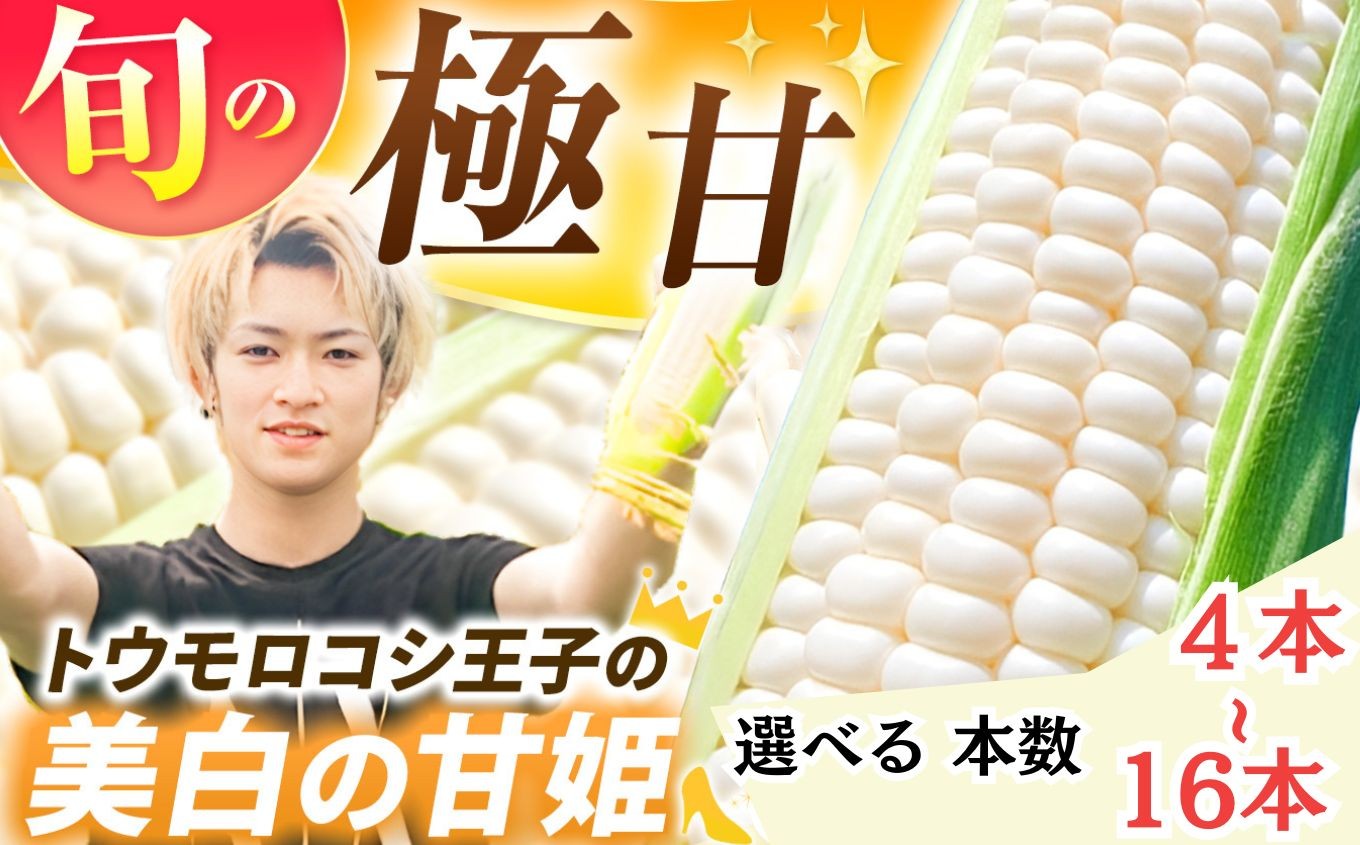 
            【2026年先行予約】とうもろこし 希少トウモロコシ王子の「美白の甘姫」選べる 本数 | トウモロコシ とうもろこし 甘い 白 トウモロコシ王子 プリンセス 王子 希少 おいしい 珍しい 栃木県 真岡市 送料無料
          