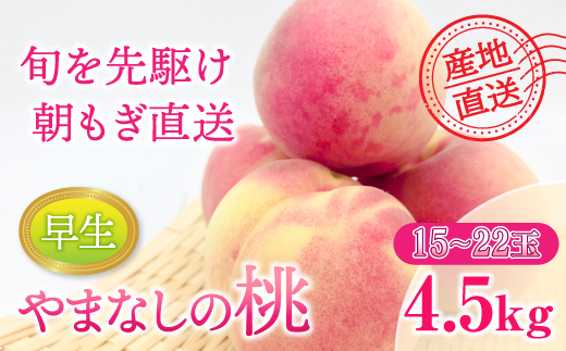 【2025年発送分】もも 約4.5kg（早生）15～22玉　桃 モモ ピーチ 山梨県産 フルーツ くだもの 果物 産地直送 早生 はなよめ ちよひめ 日川白鳳 夢桃香 先行予約
