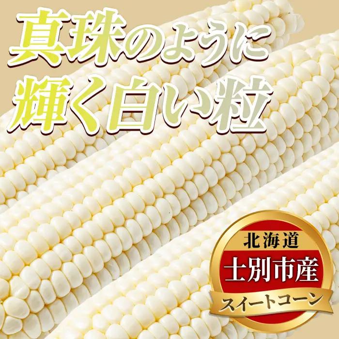 スイートコーン ホイップコーン 北海道 6本 2026年8月下旬より発送 【三栄アグリ】　A7095
