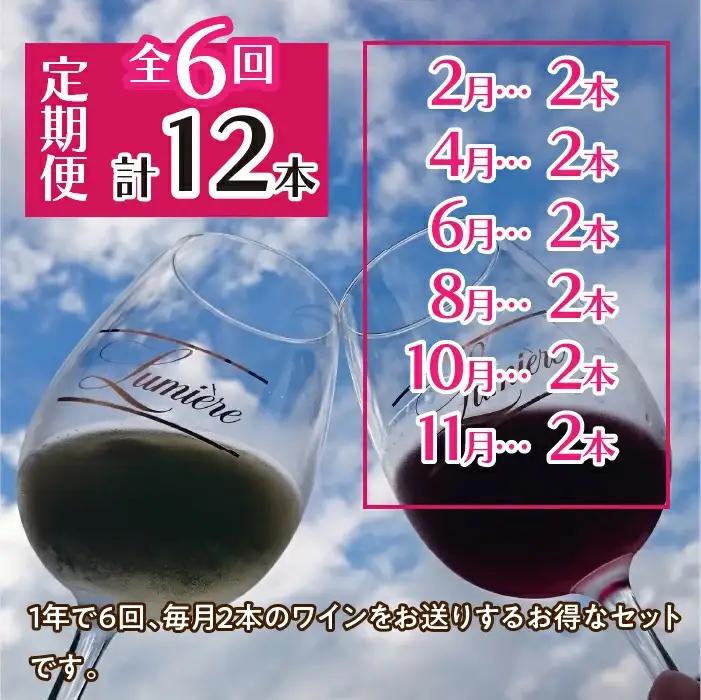 ルミエール ～ワイン定期便ハーフコース～ 063-006
