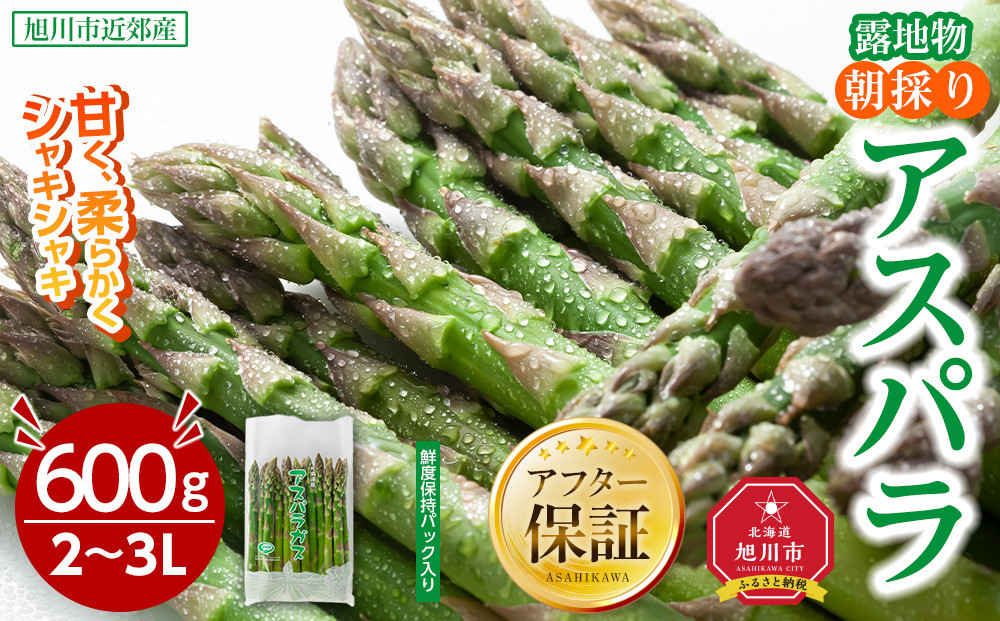 【2026年先行予約】露地物朝採りアスパラ　鮮度保持フィルム入り　2～3L　600g(5月中旬発送開始予定) 【 アスパラ アスパラガス 朝採り とれたて 野菜 旬 小分け 保存 産直 産地直送 お取