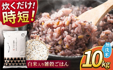 〈令和7年度産米〉 水研ぎ不要 雑穀ごはん 無洗米 10kg 【株式会社 農産ベストパートナー】 令和7年産 [ZBP149]