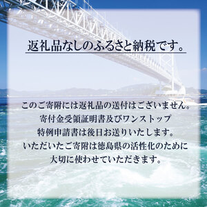 【返礼品なし】 徳島県への寄附 徳島県 ふるさと納税応援寄附 1口 100,000円から 応援 支援 寄付 寄附 ふるさと納税 観光 とくしま 徳島 