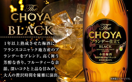 The CHOYA 熟成三年 700ml The CHOYA BLACK 700ml 計2本 セット 羽曳野商工振興株式会社《30日以内に出荷予定(土日祝除く)》｜梅酒チョーヤ梅酒チョーヤ梅酒チョーヤ