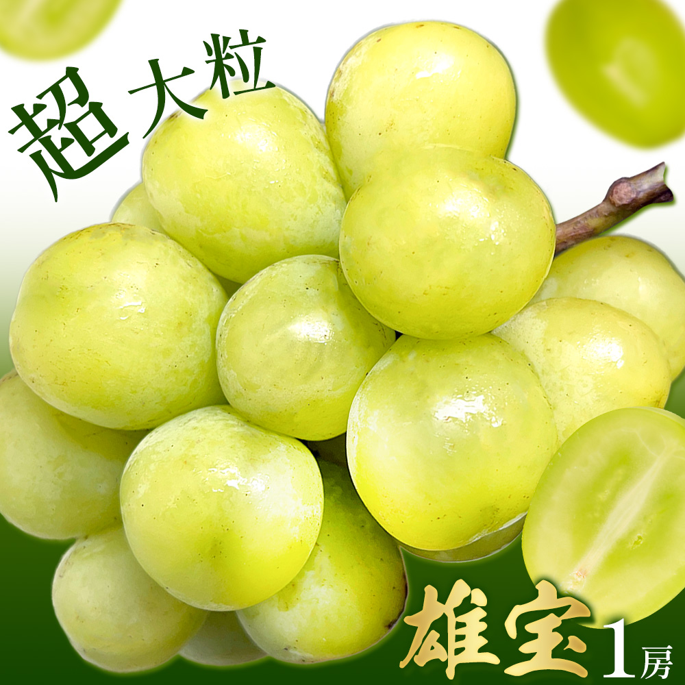 雄宝 1房 約700～900g 葡萄 ブドウ ぶどう 大粒 種なし 皮ごと フルーツ 果物 産地直送 新鮮 ジューシー お取り寄せ ギフト 国産 季節限定 茨城県 結城市 お届け時期：2025年9月上旬～9月下旬まで 會澤ぶどう・キウイフルーツ園 【配送不可地域あり】(離島)---yuki_aizw_7_1p---