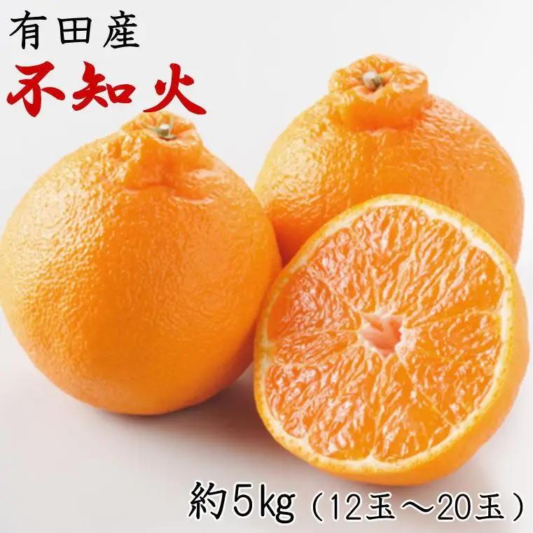 ［濃厚］有田の不知火約5kg（12～20玉）★2027年2月中旬頃より順次発送