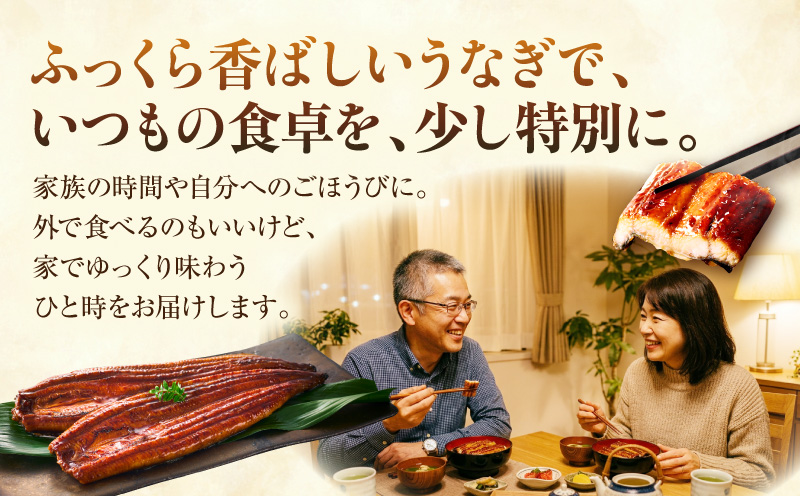 九州産 うなぎ蒲焼 2尾 (計320g＆さんしょう、たれ付き) 国産 九州産 惣菜 小分け ギフト セット 人気 おすすめ 鰻 冬うなぎ 鰻楽