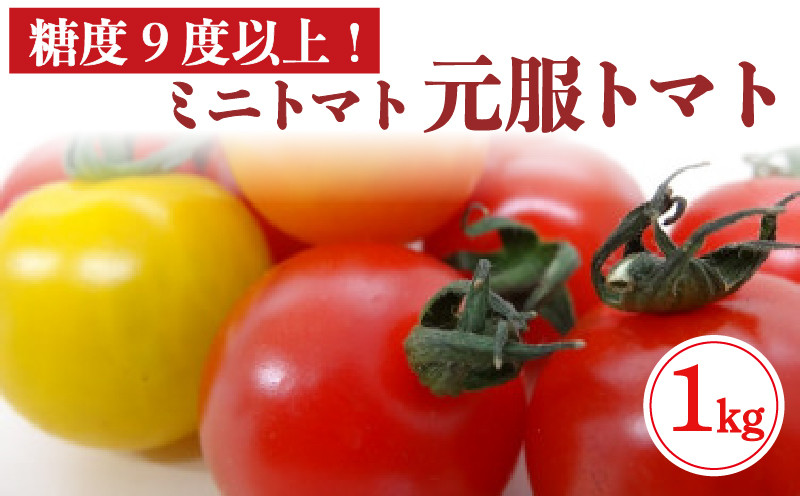 
            赤崎元服トマト(フルーツトマト) 1kg [12-6月発送] とまと トマト 野菜 リコピン 食品 旨味 ミネラル ビタミンC あまい 甘い 栄養 自宅用 お試し ごはん 夕飯 おかず サラダ 大船渡 三陸 岩手県 国産
          