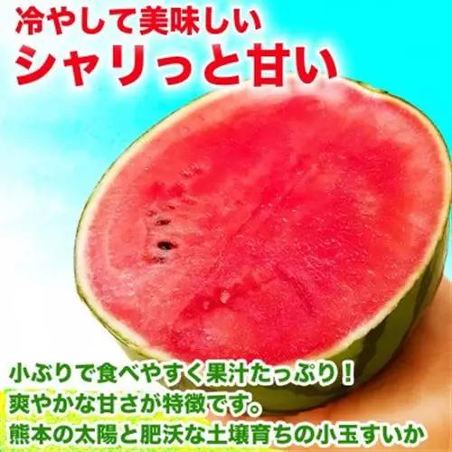 熊本県産 旬 甘い シャリ感 小玉すいか スイカ 約4.5kg以上(3～5玉入り)(益城町)【1684314】