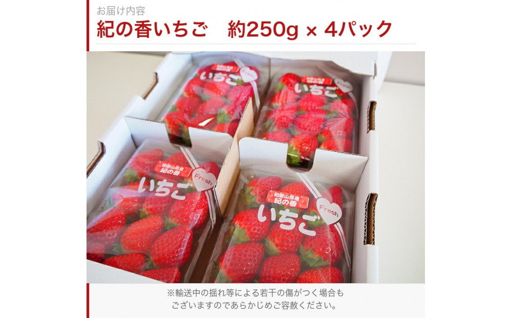 紀州和歌山ブランドいちご「紀の香」約250g×4P ［UT143］