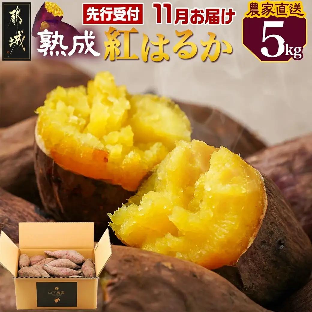 先行受付!【10月お届け】【農家直送】山下農園　熟成紅はるか 10kg〔AA-I705-10〕_(都城市) 都城産 紅はるか 10kg 農家直送 サイズ未選別 さつまいも 長期熟成