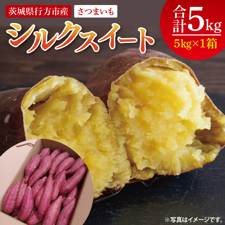 【2025年9月より順次発送】さつまいも(シルクスイート) 約5kg｜さつまいも 芋 サツマイモ シルクスイート 先行予約 茨城県 行方市(HP-2)