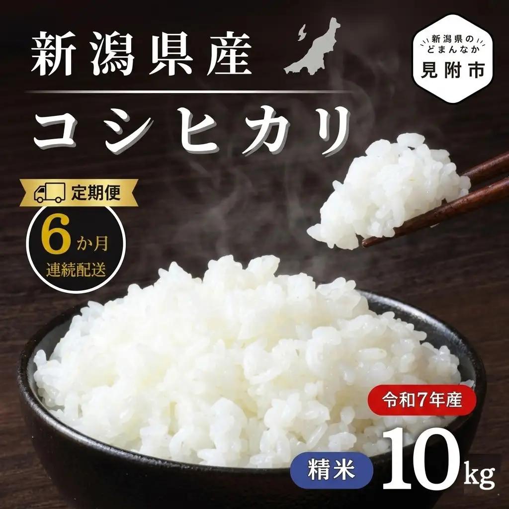【6か月定期便】R7年産 新潟県産 コシヒカリ 10kg （精米） 新潟のど真ん中 見附市 こしひかり 米 お米 白米 国産 ごはん ご飯