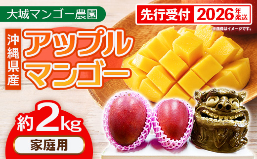 【先行受付】【2026年発送】大城マンゴー農園 マンゴー 家庭用 約2kg - 先行予約 アップルマンゴー 沖縄 産地直送 南国フルーツ 旬の味覚 ご自宅用 オススメ 沖縄県 八重瀬町
