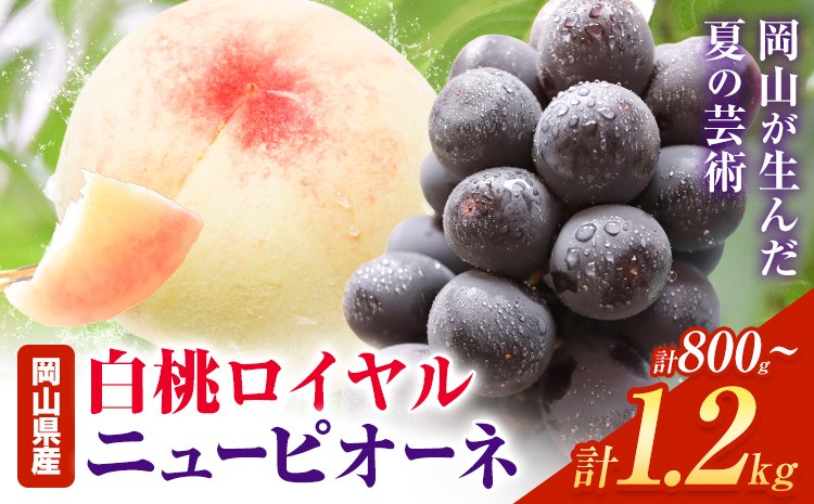 
            【2026年先行予約】岡山県産 白桃ロイヤル ニューピオーネ 詰合せ 選べる 計800g～計1.2kg 株式会社はちや《2026年7月上旬‐8月下旬頃出荷》岡山県 浅口市 白桃 桃 ぶどう 葡萄 フルーツ ギフト 果物 デザート 国産【配送不可地域あり】
          