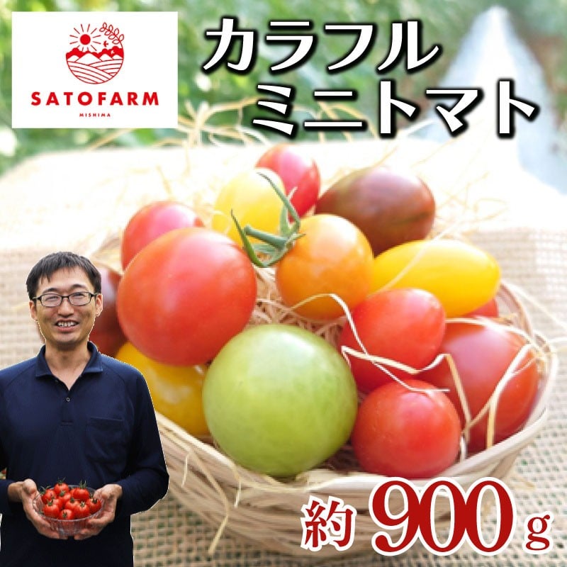 
            カラフルミニトマト 6袋 約900g ミニトマト 新鮮 トマト 野菜 プチトマト やさい サラダ 静岡県三島市
          