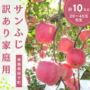 【ふるさと納税】12月 田子の家庭用サンふじ 約10kg【訳あり】【青森りんご・長畝正幸さん生産直送・12月】　お届け：2024年12月1日～2024年12月28日まで