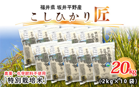 【令和7年産】（玄米）特別栽培米 コシヒカリ匠 20kg (2kg × 10袋)　栽培期間中農薬不使用 / コシヒカリ こしひかり 白米 お米 [J-2907_02]