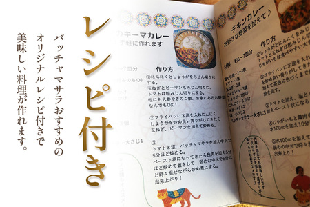グルテンフリー・無添加　辛くないスパイスカレー粉 ／ カレー カレーパウダー カレースパイス スパイスミックス マイルド 手作り お手軽 レシピ付 美味しい おいしい 小麦粉不使用 油脂不使用 添加物