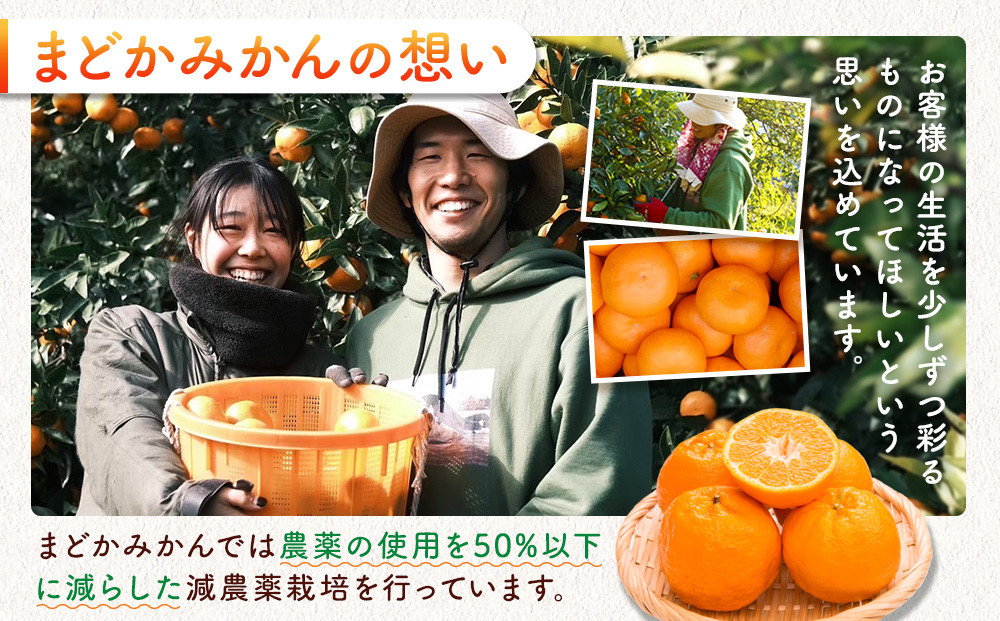 ［先行予約］［訳あり］蔵出しみかん（晩生みかん）S〜Lサイズ混合 5kg＋300g（傷み補償分）［2027年1月上旬より発送］