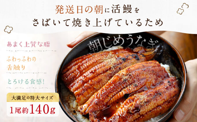 浜名湖産 朝じめ鰻 溶岩焼きコンビセット 約140g×3尾（蒲焼き 2尾・白焼き 1尾）