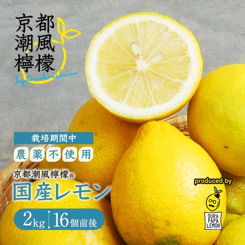 【ふるさと納税】 京都潮風檸檬(R) 国産レモン 2kg（16個前後）｜無農薬 レモン 栽培期間中農薬不使用 国産果物 舞鶴 大浦 美容 健康 レモネード レモン水