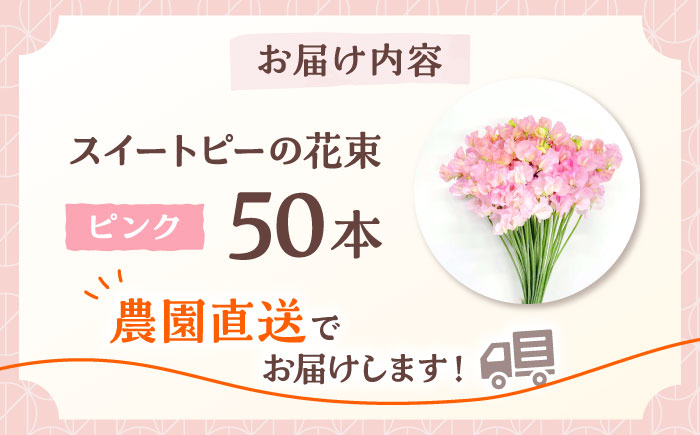 【R7年度12月以降発送】【生産農家直送！】スイートピー 花束 50本（ピンク）【木下農園】生花 [IBW002]