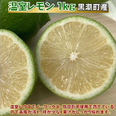 【ふるさと納税】温室 レモン 1kg 黒潮町 産 sugimotofarm［1610］