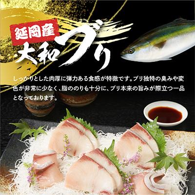 ふるさと納税 延岡市 【毎月定期便】大和ブリの切り身　約600g 全12回 |  | 03