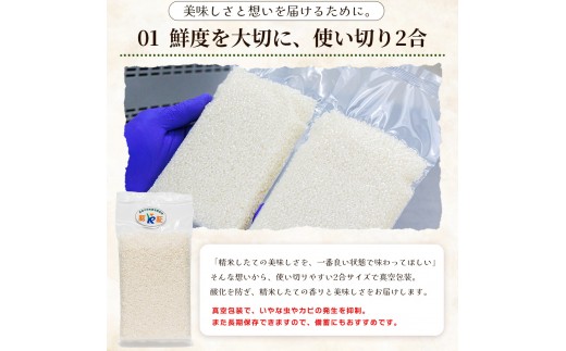 【令和8年度産】 米（コシヒカリ） 2合（300g) ×30 お米 精米 こしひかり 2合 特別栽培 真空包装 真空パック 使い切り SDGs 備蓄 こめ コメ お米 おこめ ライス ke-0065