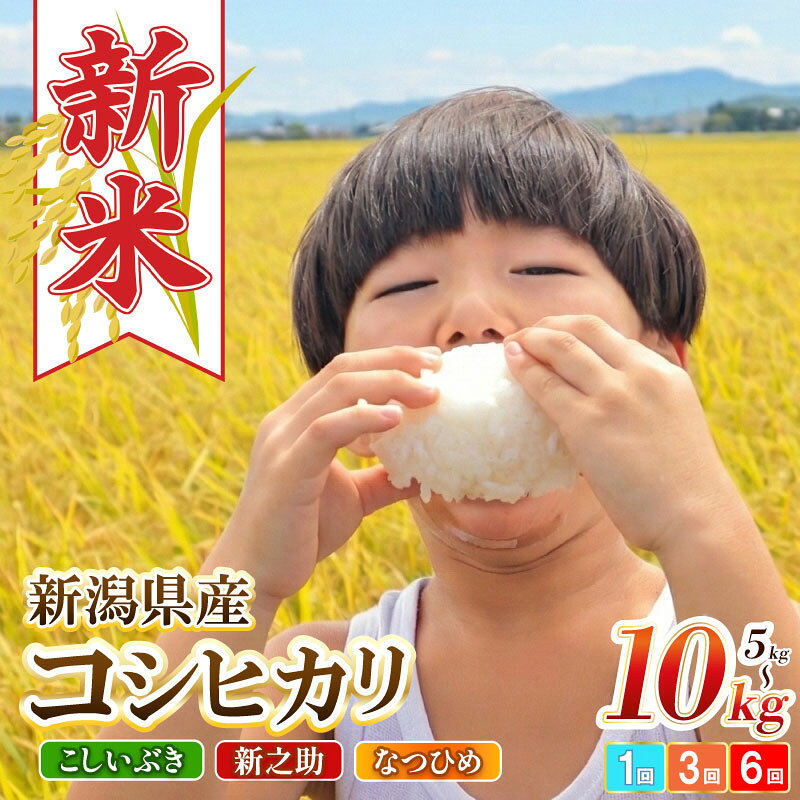 【ふるさと納税】 新米 新潟県産 コシヒカリ こしいぶき 新之助 なつひめ 8年産 選べる 配送月 容量 5kg 10kg 20kg 単品 定期便 3回 6回 精米 四代目 悠助 コンテスト入賞 米 新発田 新潟 D71P