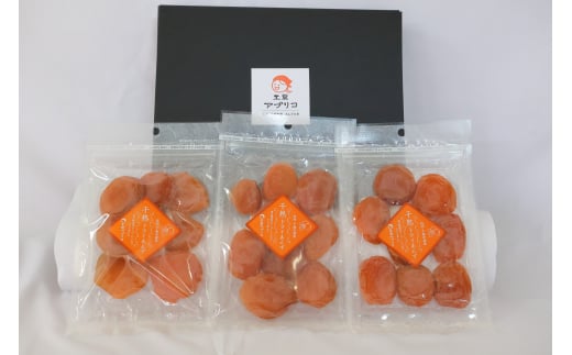 あんず ドライフルーツ 信州産 干熟 ドライ あんず 100g×3袋 ｜ 杏子 アンズ アプリコット 千曲市 長野県産 信州