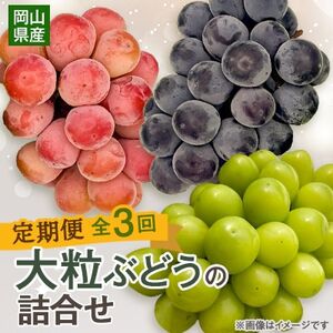 【発送月固定定期便】【2025年先行予約】10～12月　大粒ぶどうの詰合せ全3回【4062737】