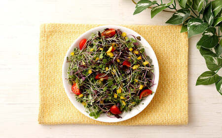 【6回定期便】 マイクロリーフミックス 1回あたり約140g（70g×2個）合計 約840g サラダ 野菜 大分県 九重町産 定期便